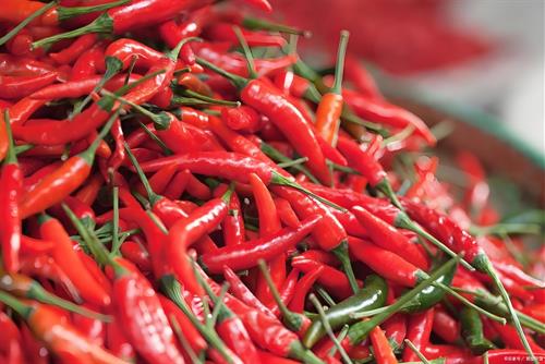 隆回三辣辣椒