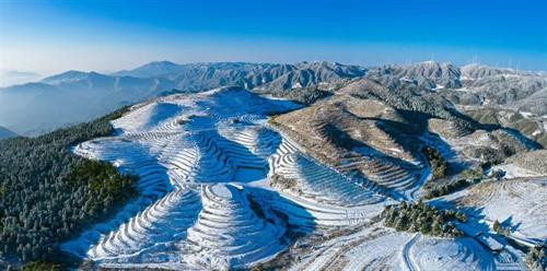 隆回县：三带协同筑根基 特色农业绘就乡村振兴新图景