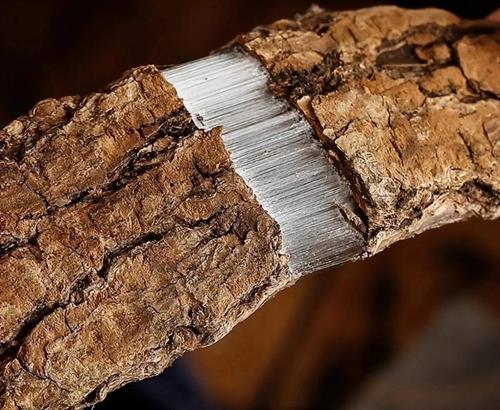 一村一品・大水田乡