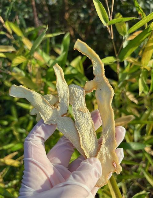 一村一品・羊古坳镇