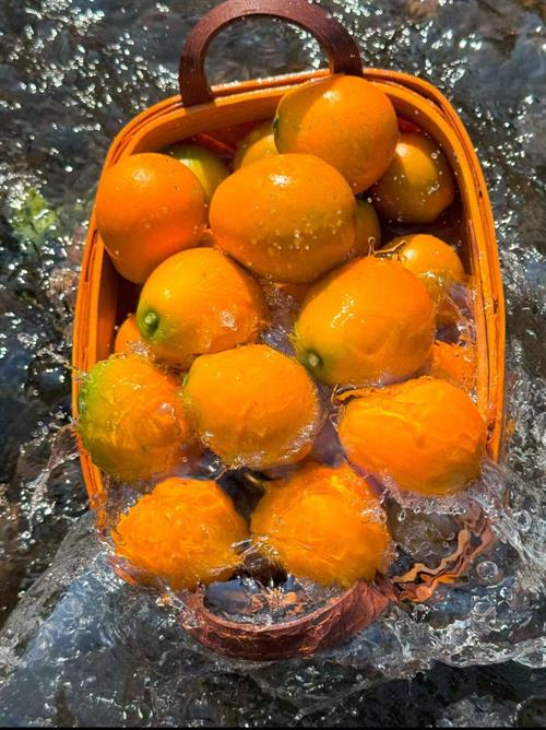 一村一品・荷田乡