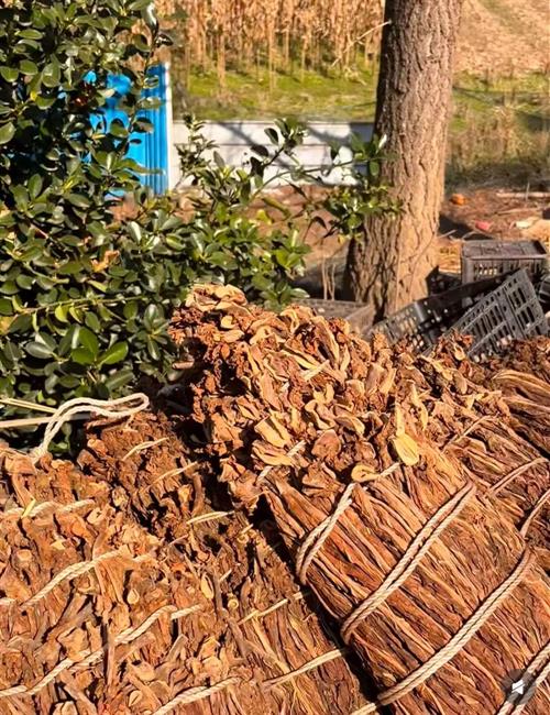 一村一品・周旺镇