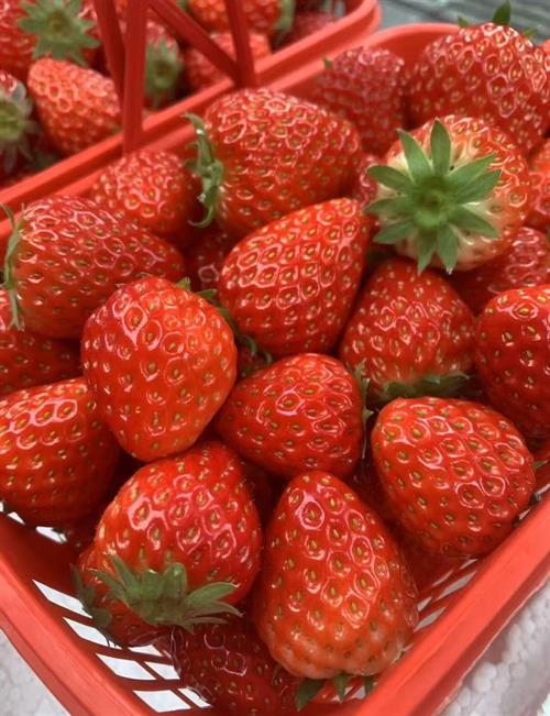 一村一品・雨山铺镇