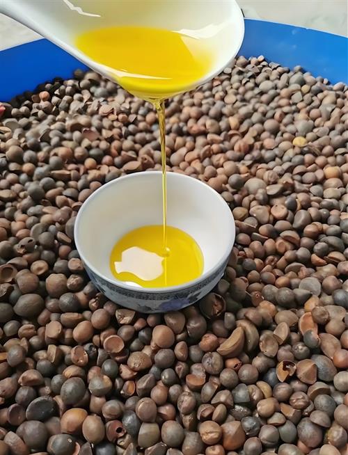 一村一品・南岳庙镇