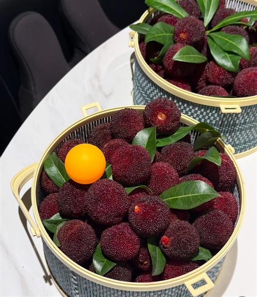 一村一品・岩口镇