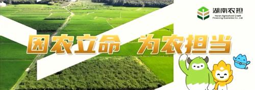 湖南农担教您识别骗局套路，守护征信权益