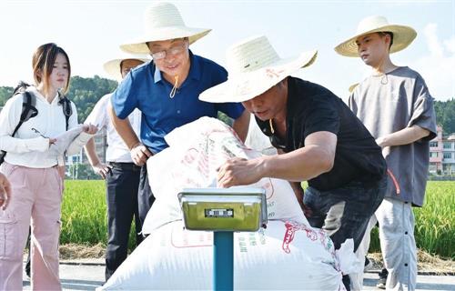 沃野田畴尽“丰”景——湖南隆回县推进“农业富县”巡礼