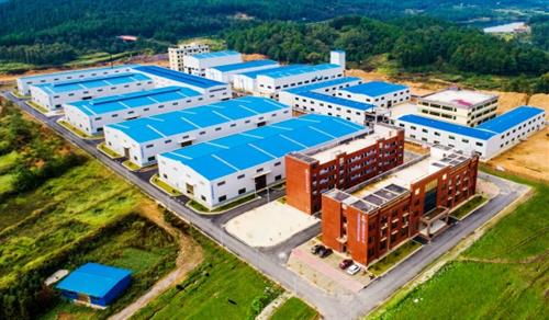 金银花开富隆回——一朵地理标志花的产业振兴之路