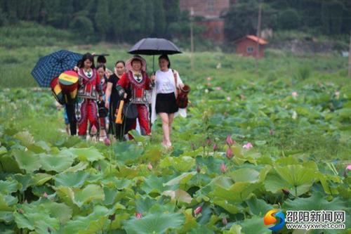 隆回美丽乡村：百亩荷塘钓龙虾 农家乐里打手鼓