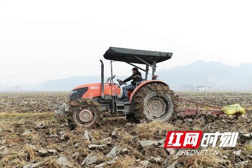 隆回：20多万亩闲田活用成乡村旅游的靓丽风景