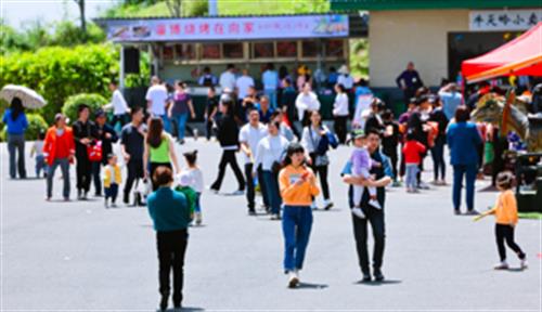 “五一”大流量助力乡村振兴 湖南隆回向家村游客接待量比去年同期增长300％