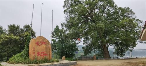 湖南隆回三阁司镇沙坪村：生态宜居又见“桃花源”