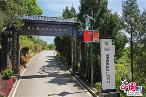 湖南向家村：齐心协力谋发展 打造乡村新名片