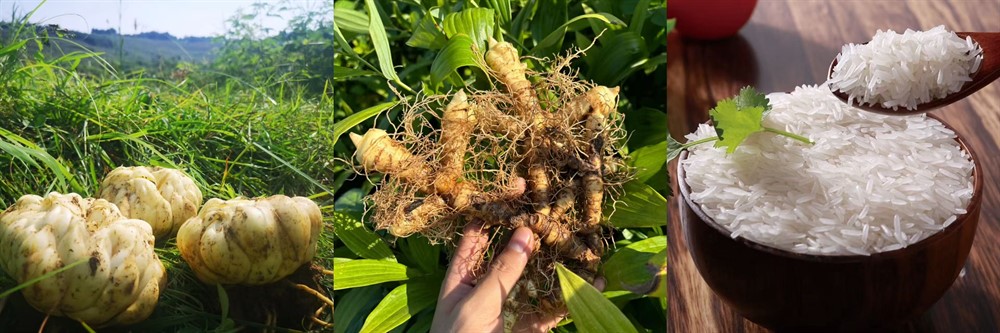 c66b6f456a091d169475c8c6fd35cfc8.jpg c66b6f456a091d169475c8c6fd35cfc8.jpg