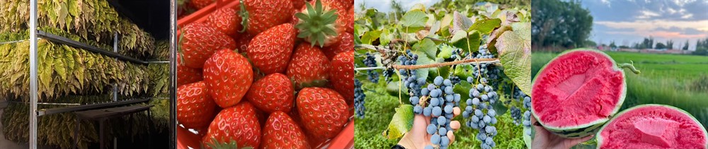 4137498efd65e005d6913c7979625926.jpg 4137498efd65e005d6913c7979625926.jpg