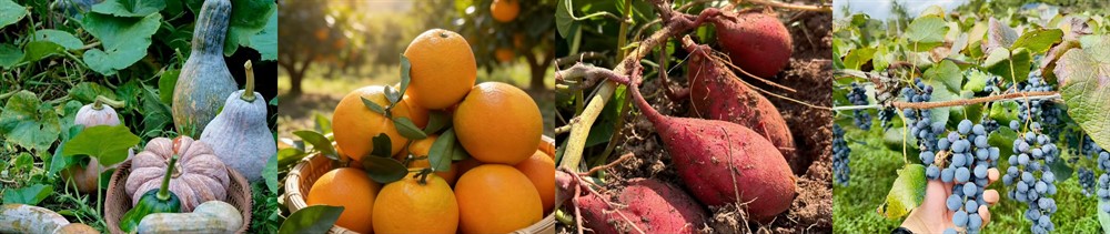 0b237605491e43b437e310608b6b06fe.jpg 0b237605491e43b437e310608b6b06fe.jpg