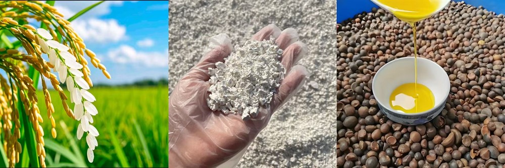 294a9d3f903eb4442cf282e5fd0e4ee3.jpg 294a9d3f903eb4442cf282e5fd0e4ee3.jpg