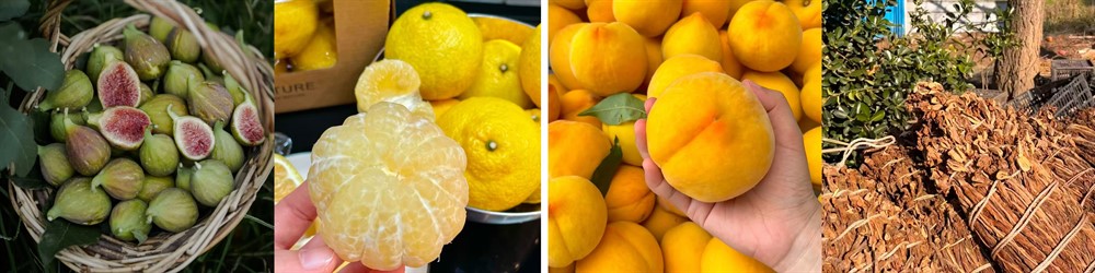 6f6397e753ea1e66f0b7b3e64d4c95fd.jpg 6f6397e753ea1e66f0b7b3e64d4c95fd.jpg